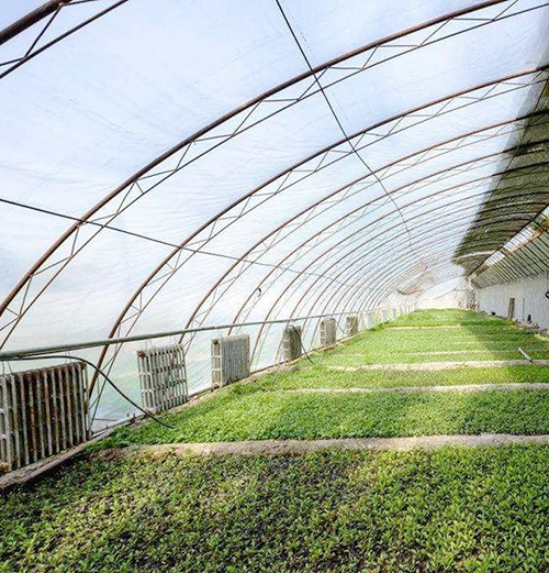 PE农用地膜 PE农用地膜