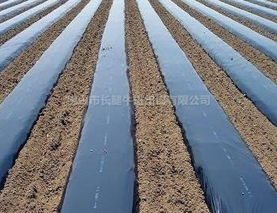 珠海优质聚乙稀薄膜厂家