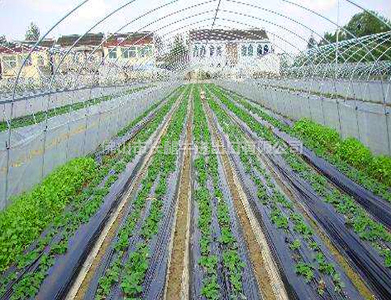 金华定制农用塑料膜厂家